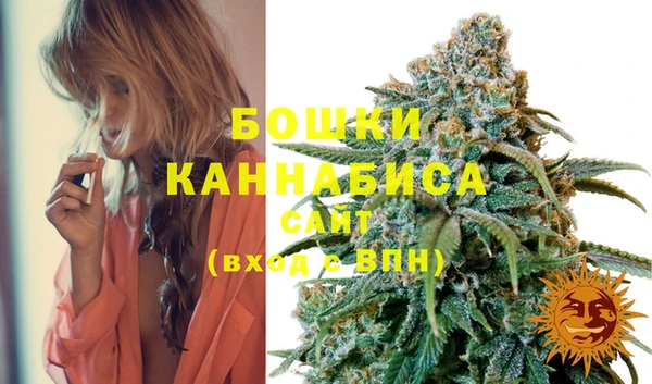 дмт Вяземский