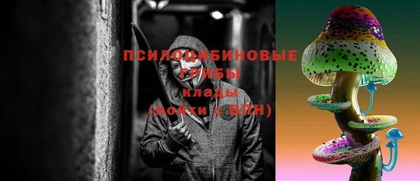 дмт Вяземский