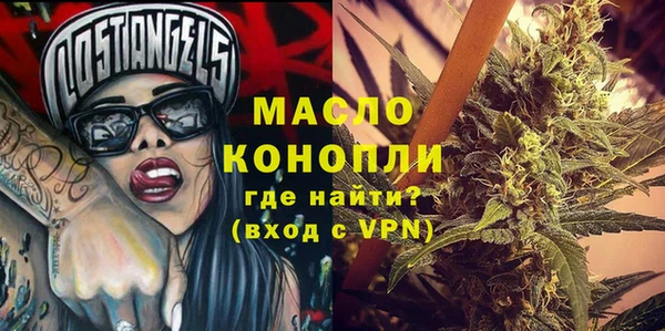 дмт Вяземский