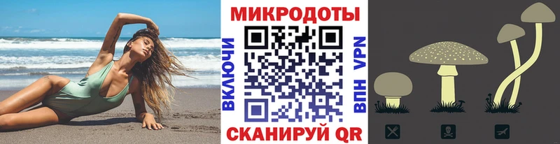 Купить  Агидель  Галлюциногенные грибы GOLDEN TEACHER 
