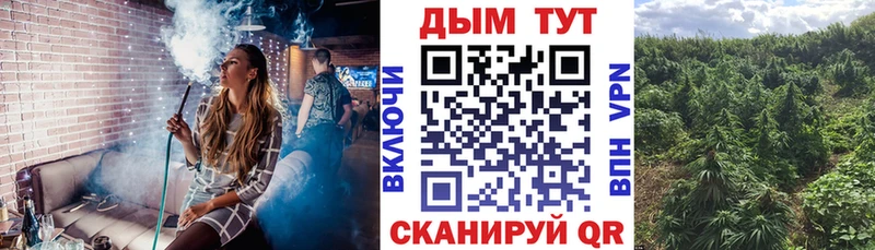 Купить закладки  Агидель  Шишки марихуана Amnesia 